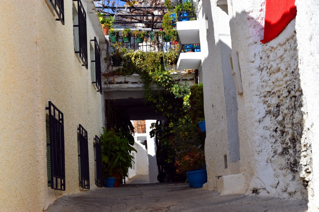 Foto: Tinaos, construcción exclusiva y típica de la Alpujarra - Capileira (Granada), España