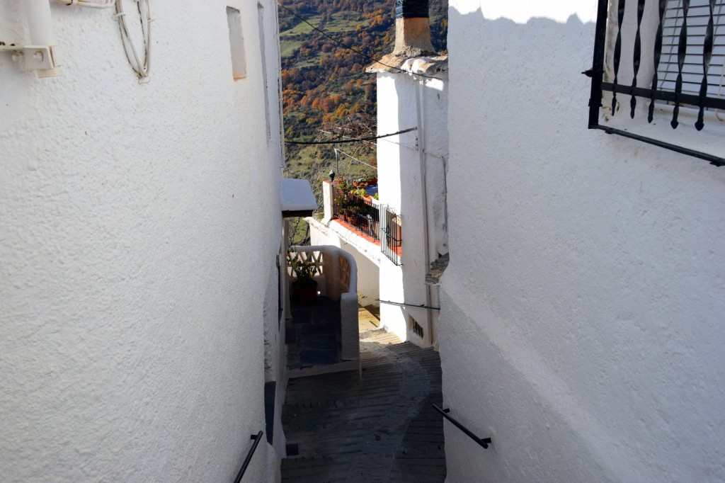 Foto: Bajada a la Calle Tajo - Capileira (Granada), España