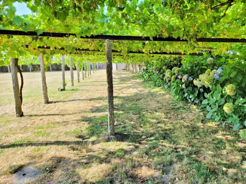 Foto: Pazo de Fafiñáns - Cambados (Pontevedra), España