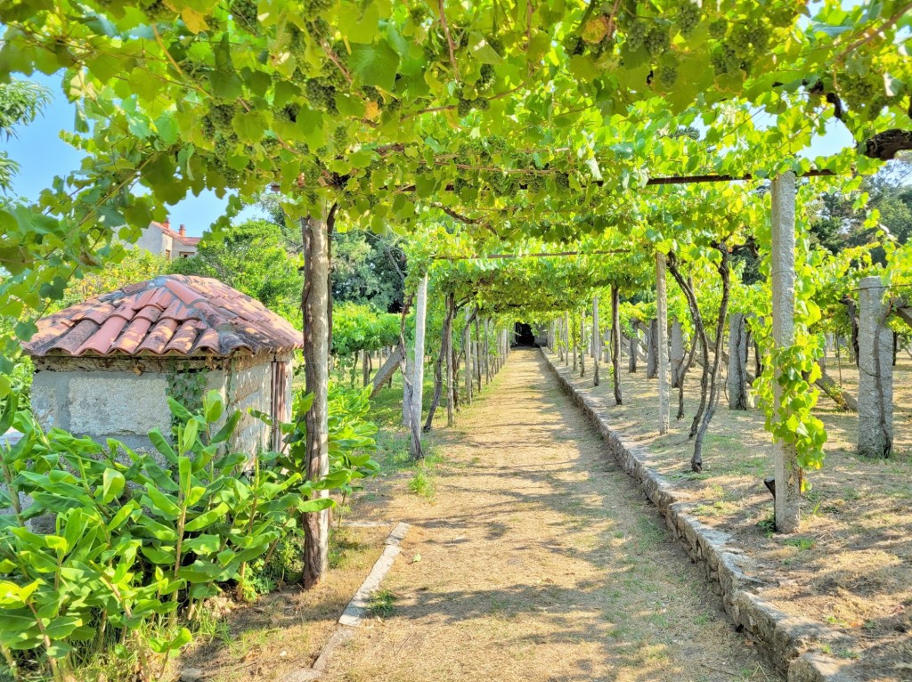 Foto: Pazo de Fafiñáns - Cambados (Pontevedra), España