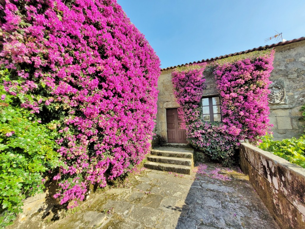 Foto: Pazo de Fafiñáns - Cambados (Pontevedra), España