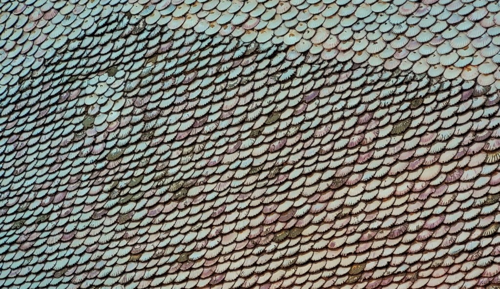 Foto: Centro histórico - Cambados (Pontevedra), España