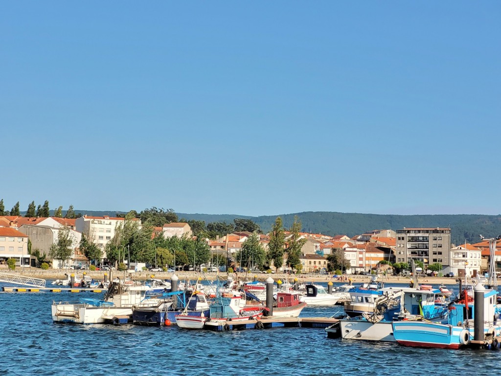 Foto: Puerto - Cambados (Pontevedra), España