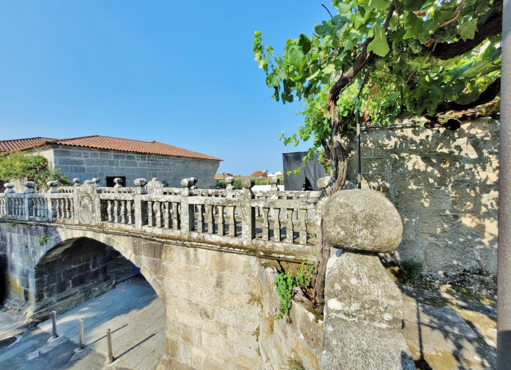 Foto: Pazo de Fafiñáns - Cambados (Pontevedra), España