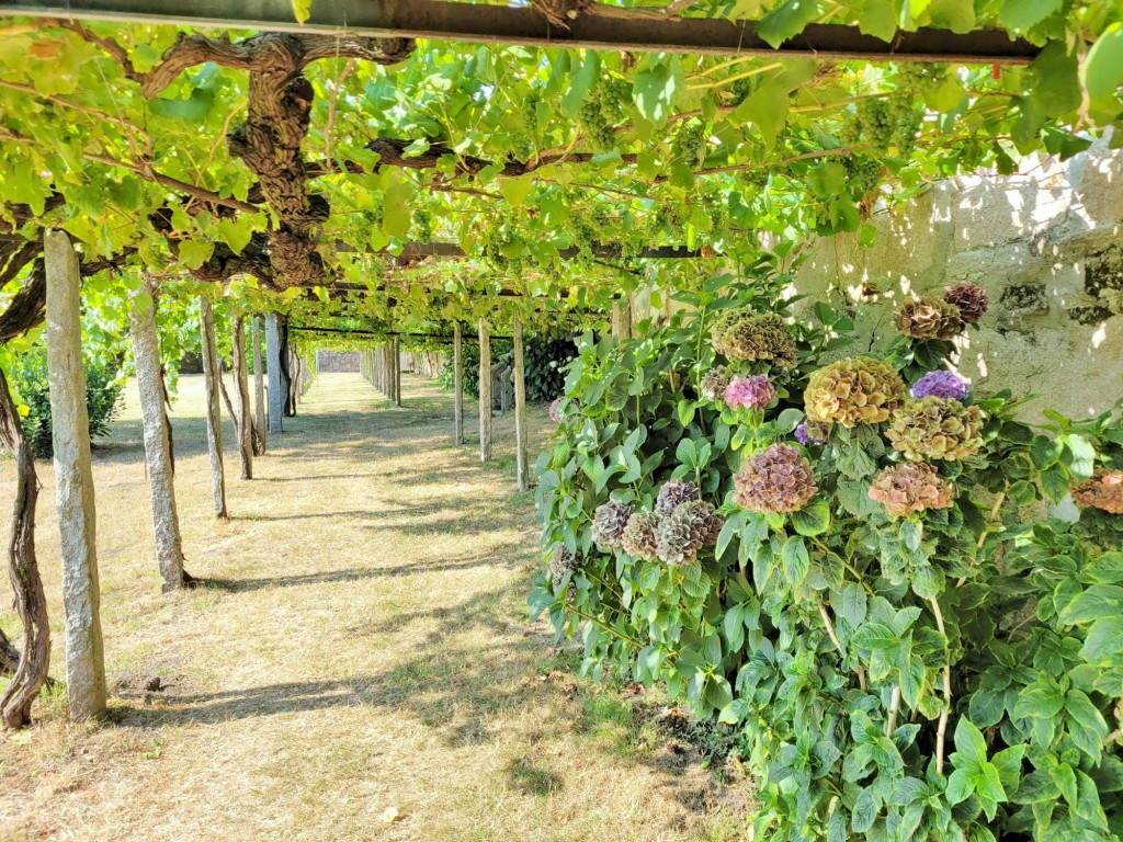 Foto: Pazo de Fafiñáns - Cambados (Pontevedra), España