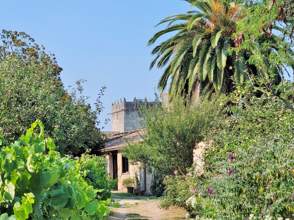 Foto: Pazo de Fafiñáns - Cambados (Pontevedra), España