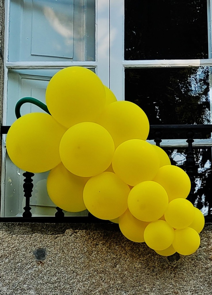 Foto: Racimo uvas - Cambados (Pontevedra), España