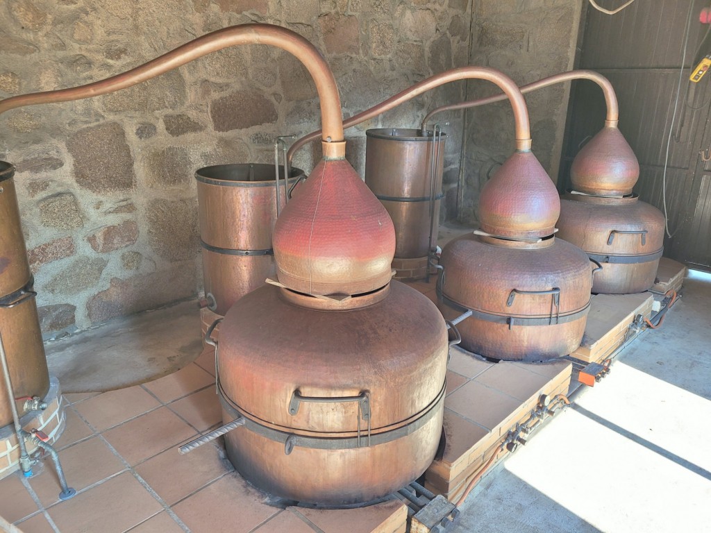 Foto: Pazo de Fafiñáns - Cambados (Pontevedra), España