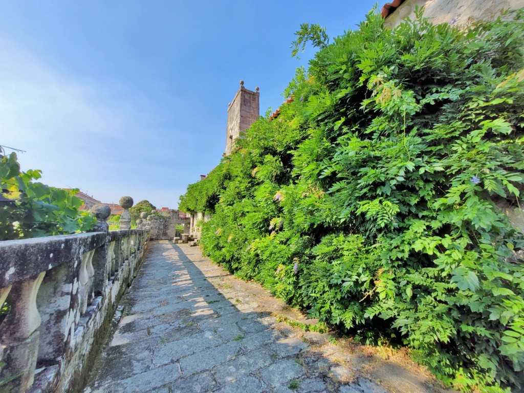 Foto: Pazo de Fafiñáns - Cambados (Pontevedra), España