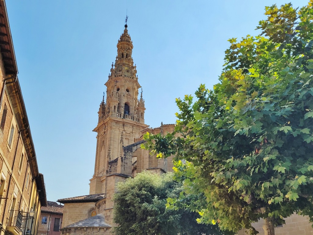 Foto: Centro histórico - Santo Domingo de la Calzada (La Rioja), España