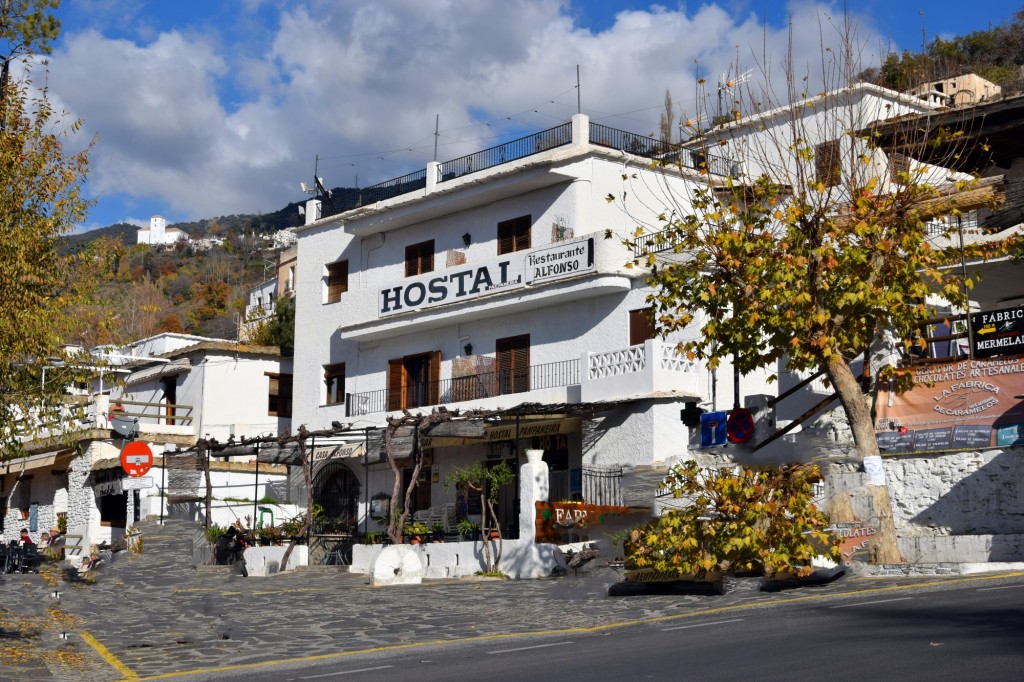 Foto: Hostal Casa Alfonso - Pampaneira (Granada), España