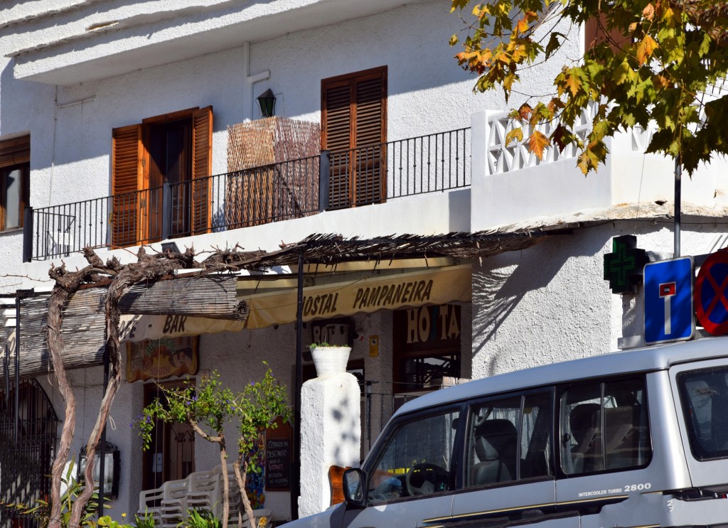 Foto: Restaurante Alfonso - Pampaneira (Granada), España