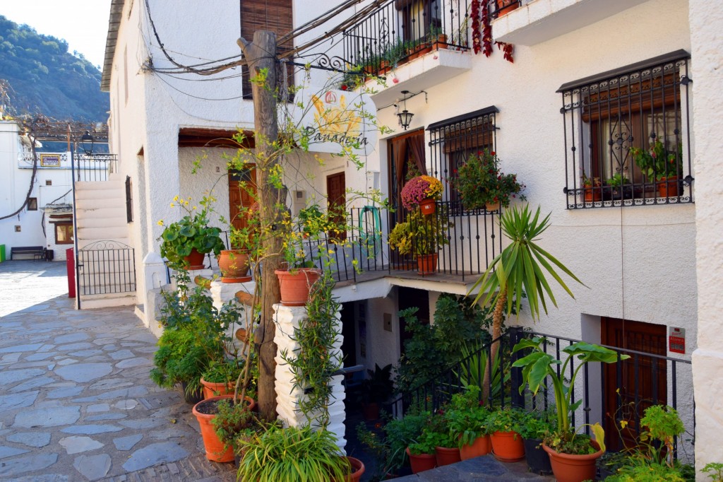 Foto: La Tahona de Ferreyra - Pampaneira (Granada), España