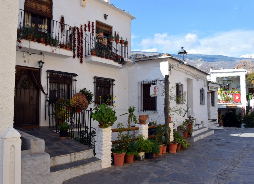 Foto: Panadería - Pampaneira (Granada), España