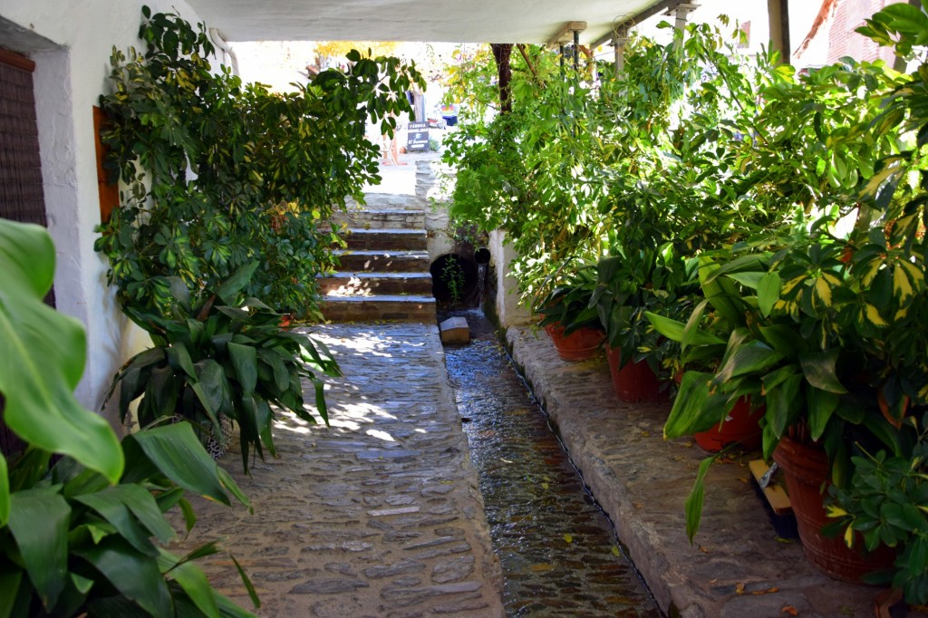 Foto: Bajada a Bodega Moralea - Pampaneira (Granada), España