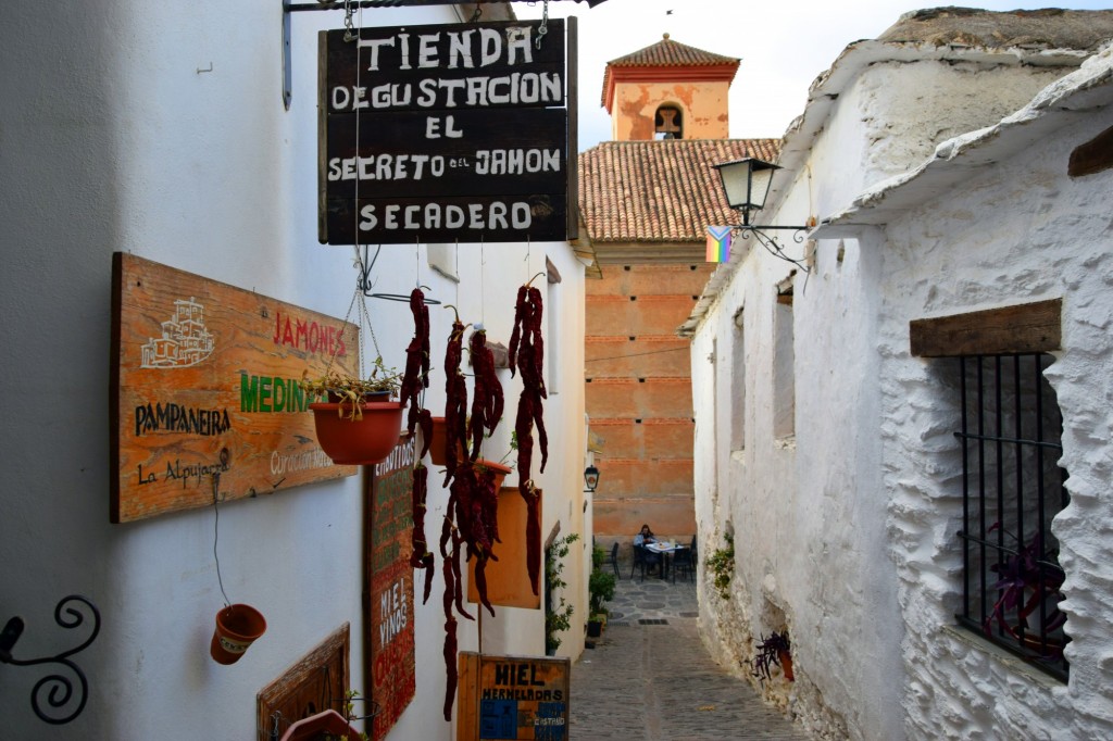 Foto: Tienda degustación jamones y quesos enCalle Águila - Pampaneira (Granada), España