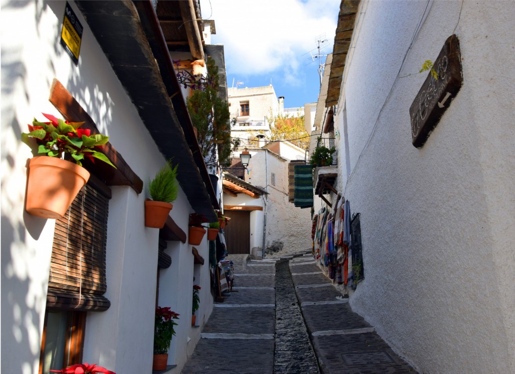Foto: El Castaño Artesanías - Pampaneira (Granada), España