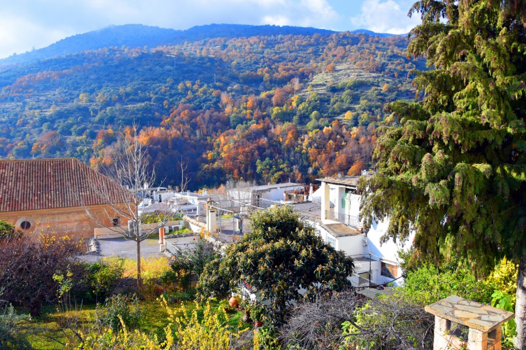 Foto de Pampaneira (Granada), España