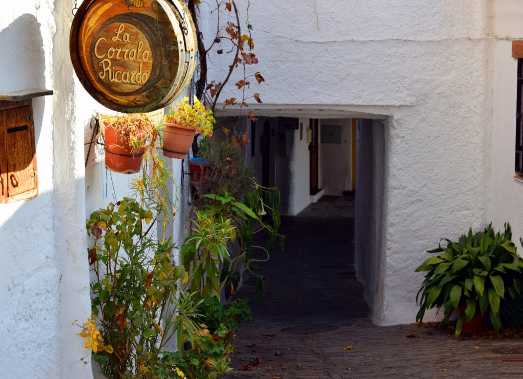 Foto: Calle Cerrillo - Pampaneira (Granada), España