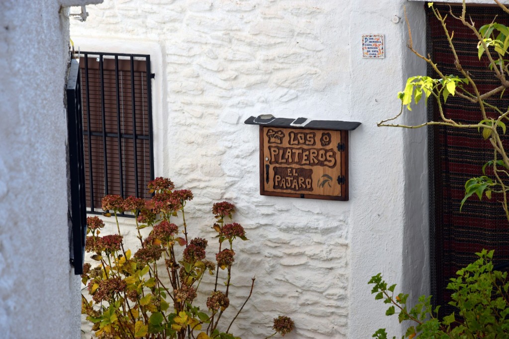 Foto: Bajada a los Pájaros - Pampaneira (Granada), España