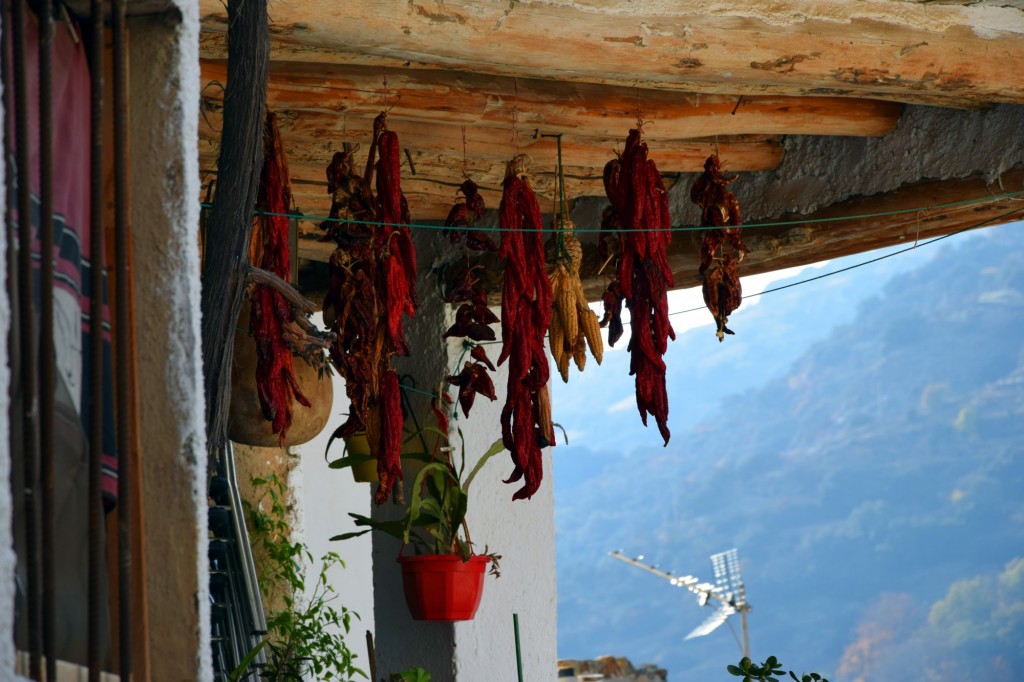 Foto: Pimientos y mazorcas a secar - Pampaneira (Granada), España