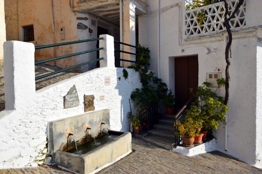 Foto: Fuente El Cerrillo - Pampaneira (Granada), España