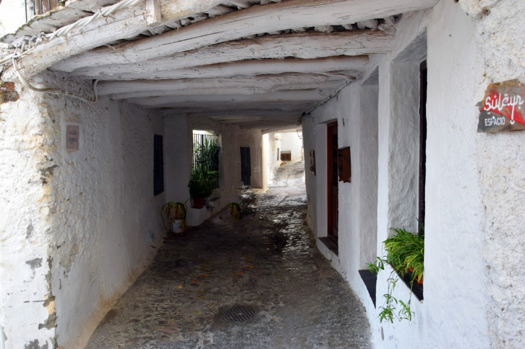 Foto: Tinao del Pescao - Pampaneira (Granada), España