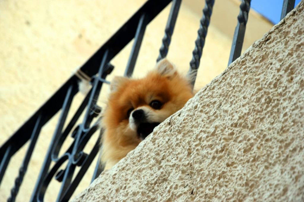 Foto de Pampaneira (Granada), España