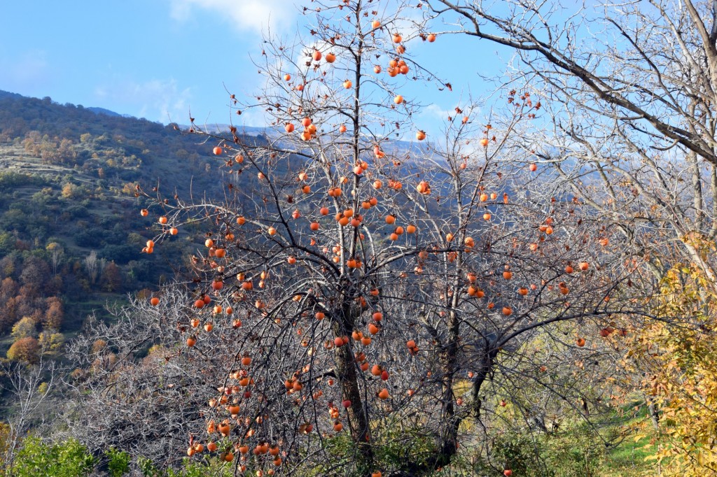 Foto de Pampaneira (Granada), España