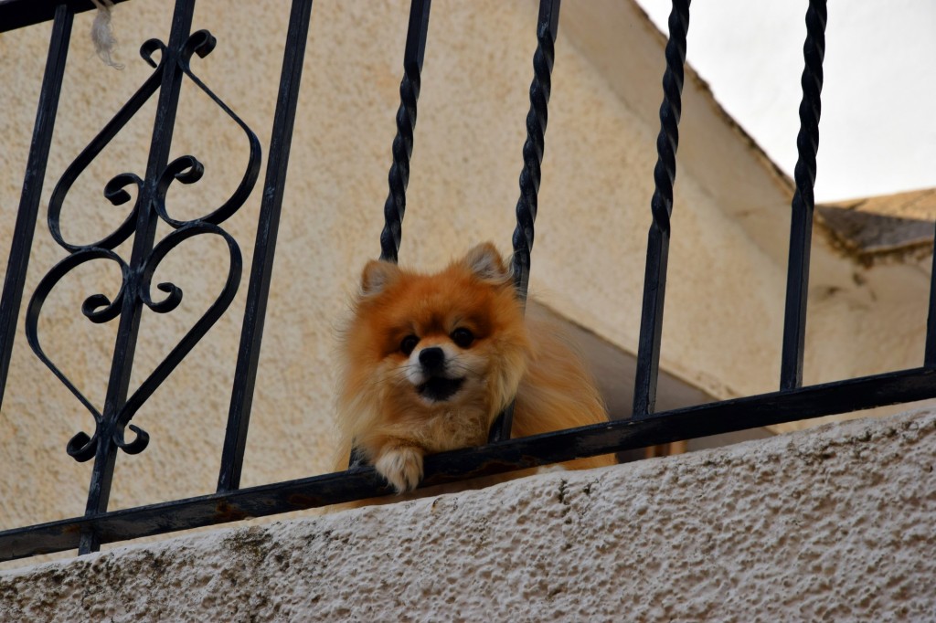 Foto de Pampaneira (Granada), España