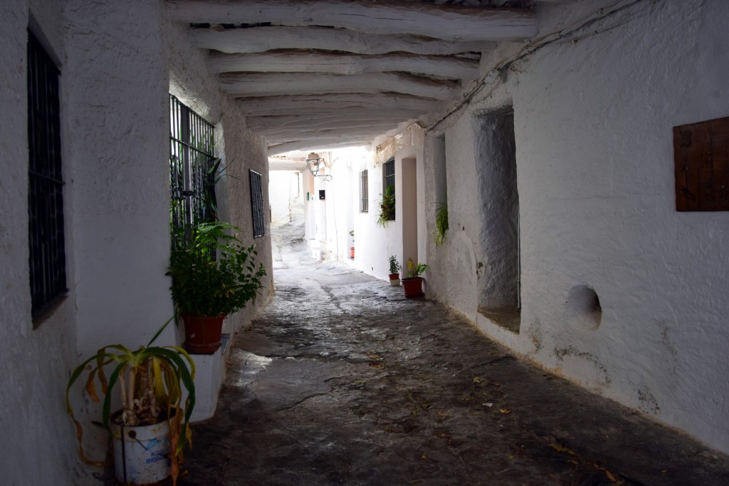 Foto: Tinao en la Calle Cristo - Pampaneira (Granada), España