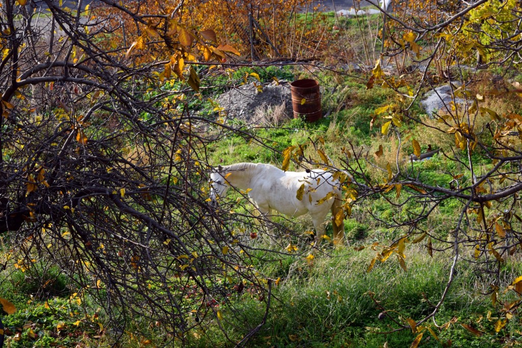 Foto de Pampaneira (Granada), España