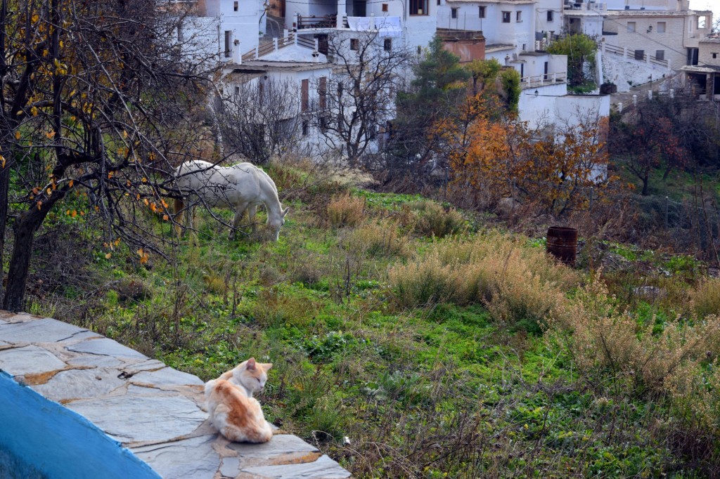Foto de Pampaneira (Granada), España