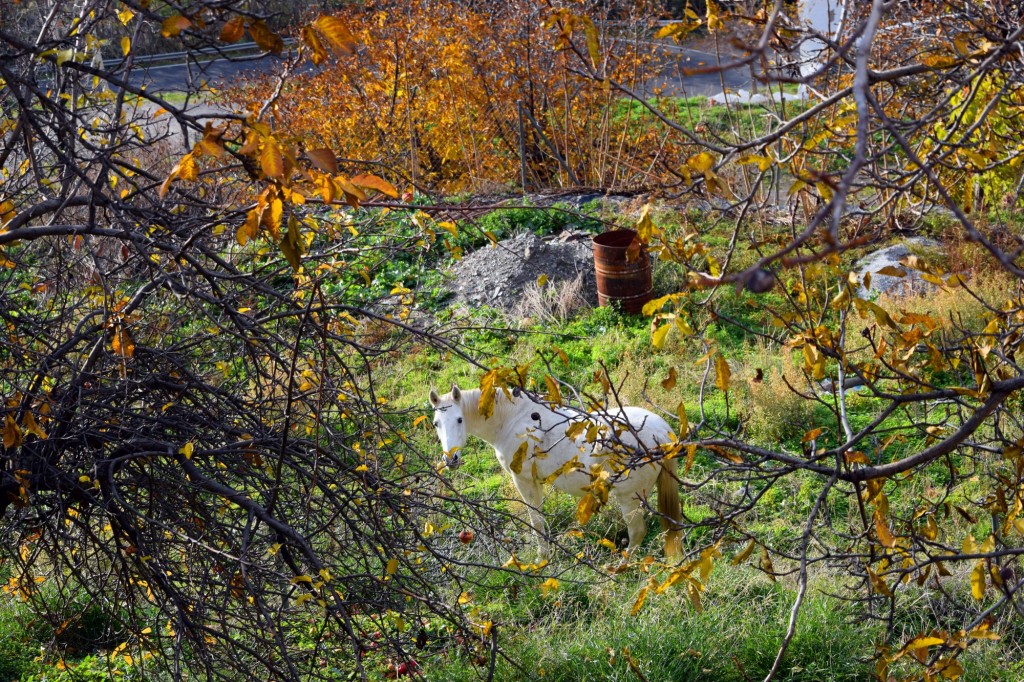 Foto de Pampaneira (Granada), España