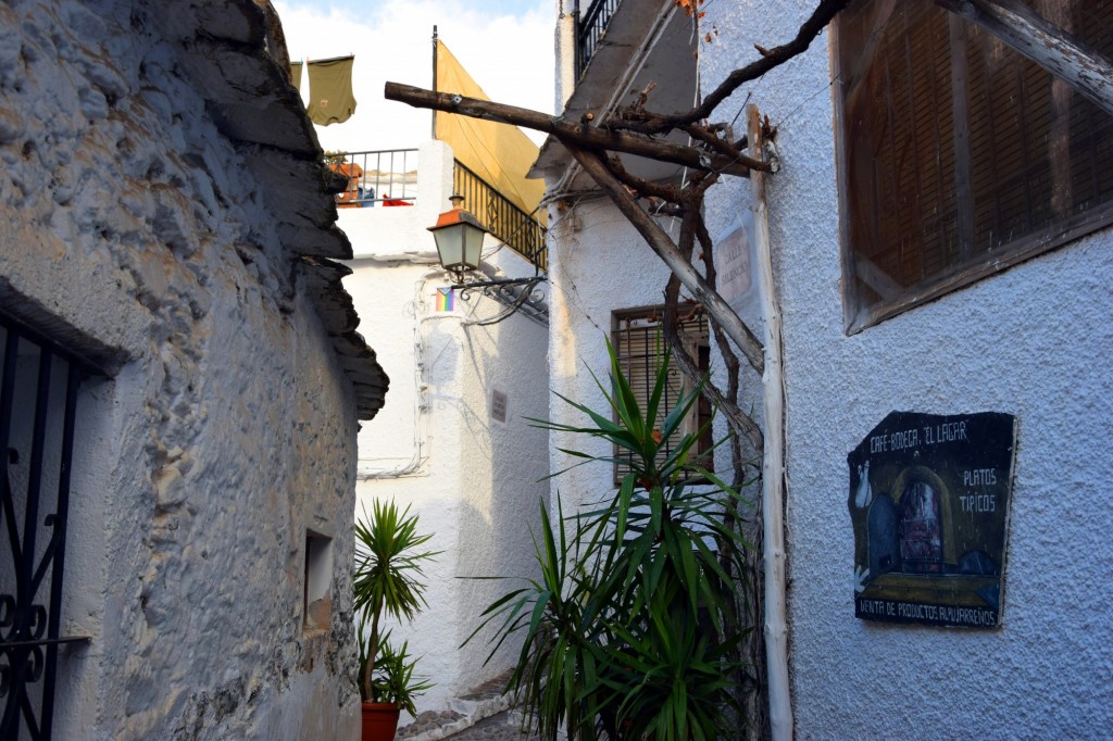 Foto: Café Bodega El Lagar - Pampaneira (Granada), España