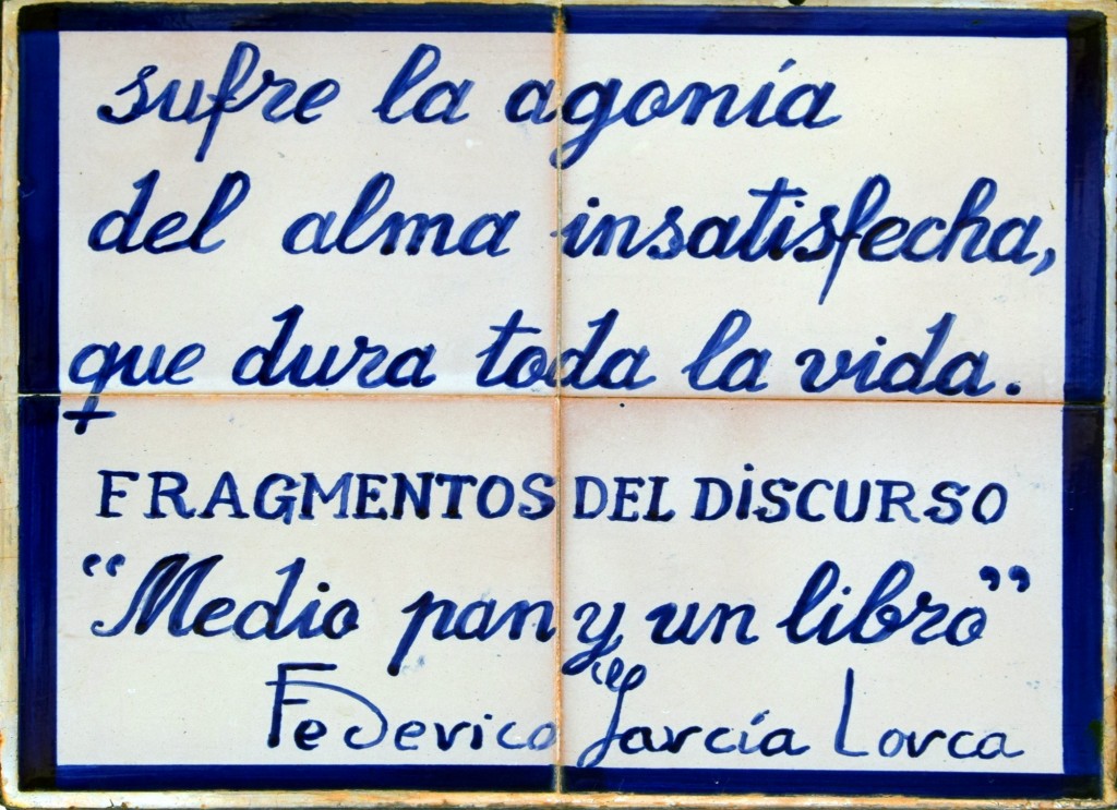 Foto: Sufre la agonía...Versos de F.García Lorca - Pampaneira (Granada), España
