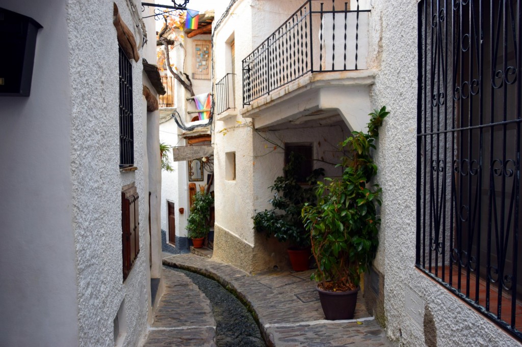 Foto: La Moralea Bodega - Pampaneira (Granada), España