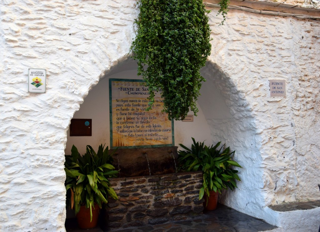 Foto: Fuente de San Antonio - Pampaneira (Granada), España