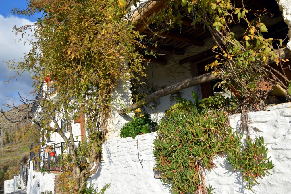 Foto de Pampaneira (Granada), España