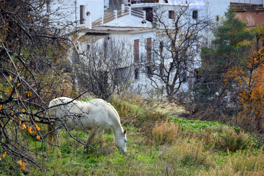 Foto de Pampaneira (Granada), España