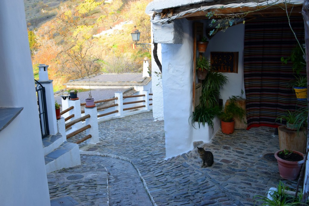 Foto: Camino del Río - Pampaneira (Granada), España