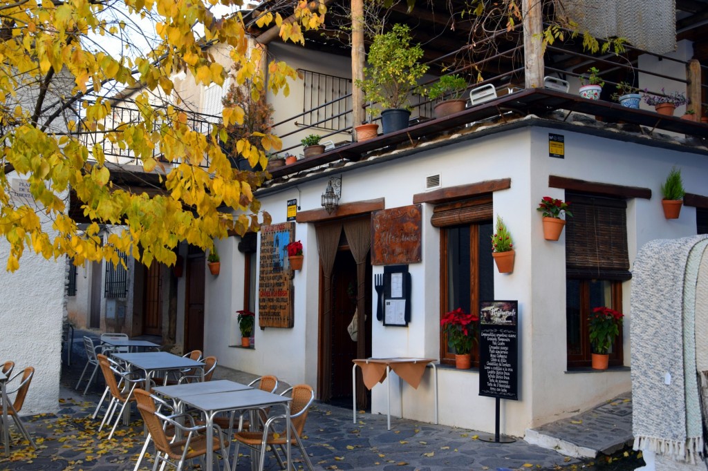 Foto: Altaahuna - Pampaneira (Granada), España