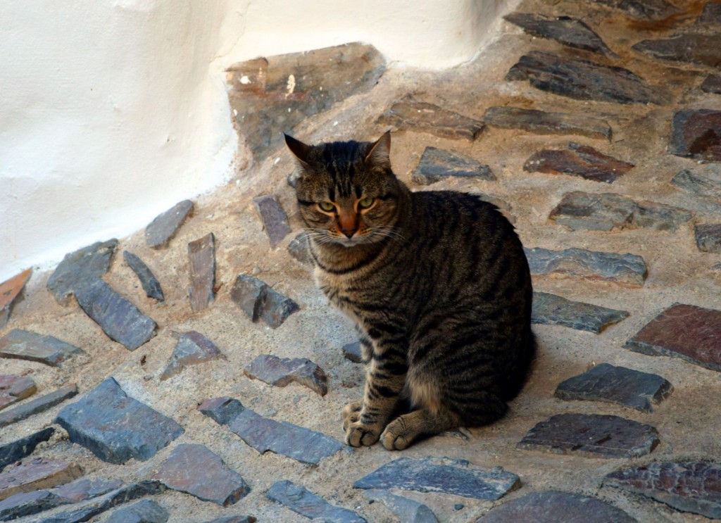 Foto de Pampaneira (Granada), España