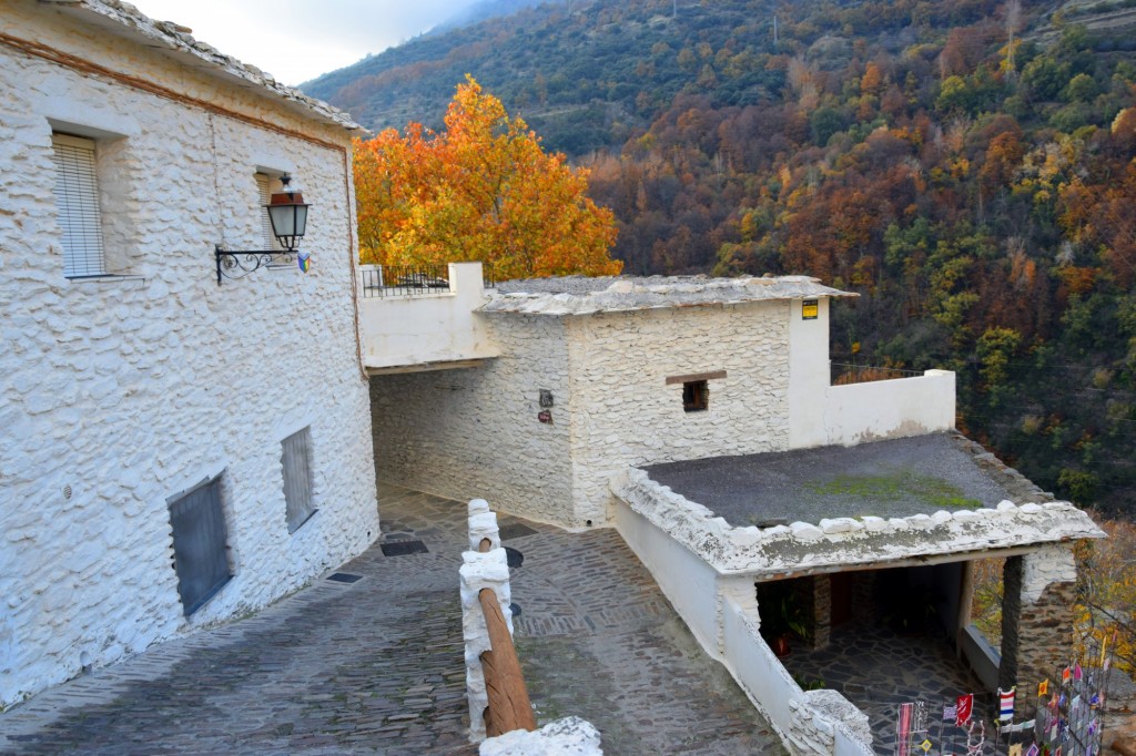 Foto: Calle Viso - Pampaneira (Granada), España
