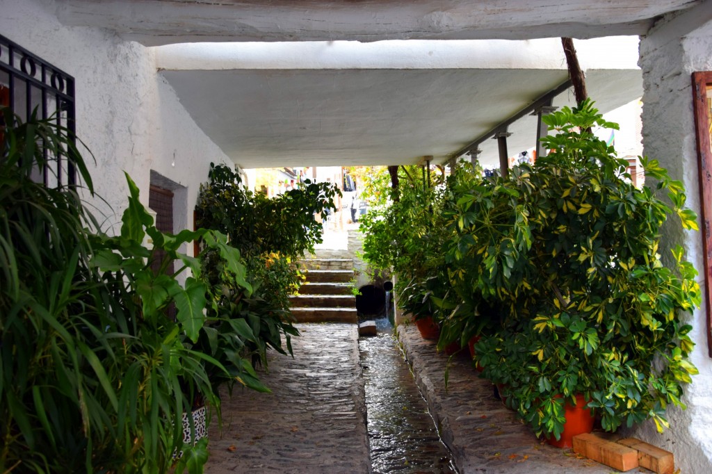 Foto: Tinao a la Plaza la Libertad - Pampaneira (Granada), España