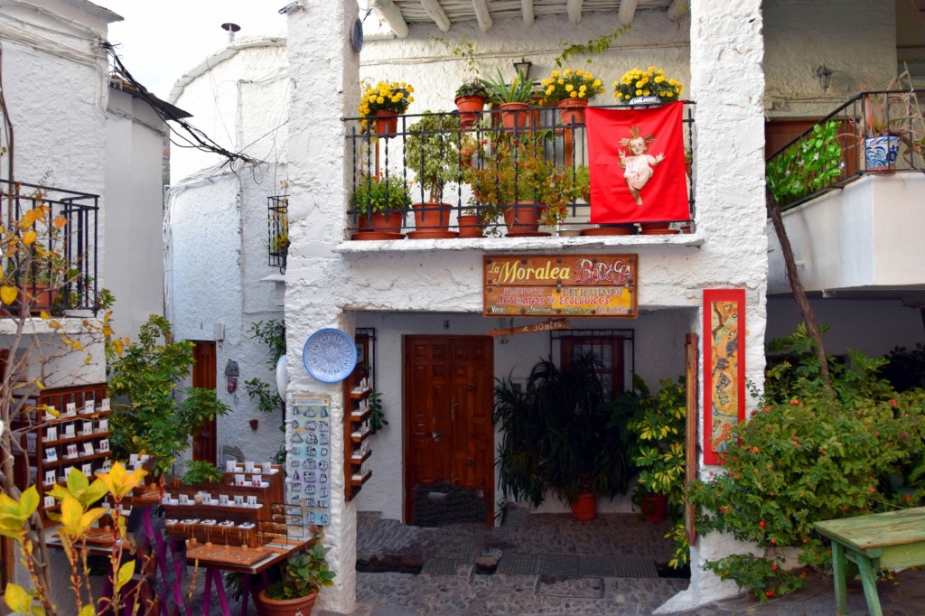Foto: Bajada a la Moralea - Pampaneira (Granada), España