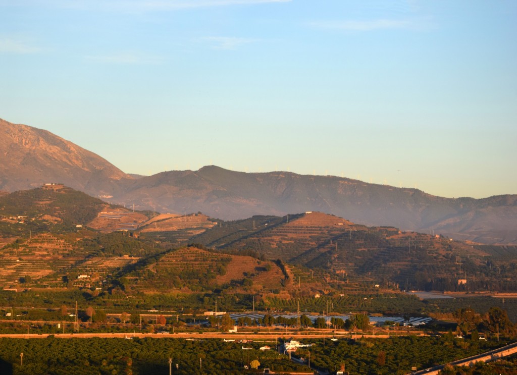 Foto: La Vega - Salobreña (Granada), España