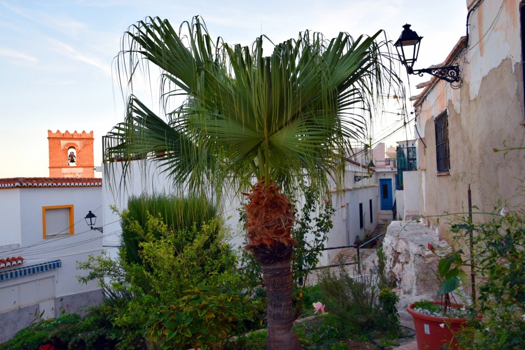 Foto de Salobreña (Granada), España