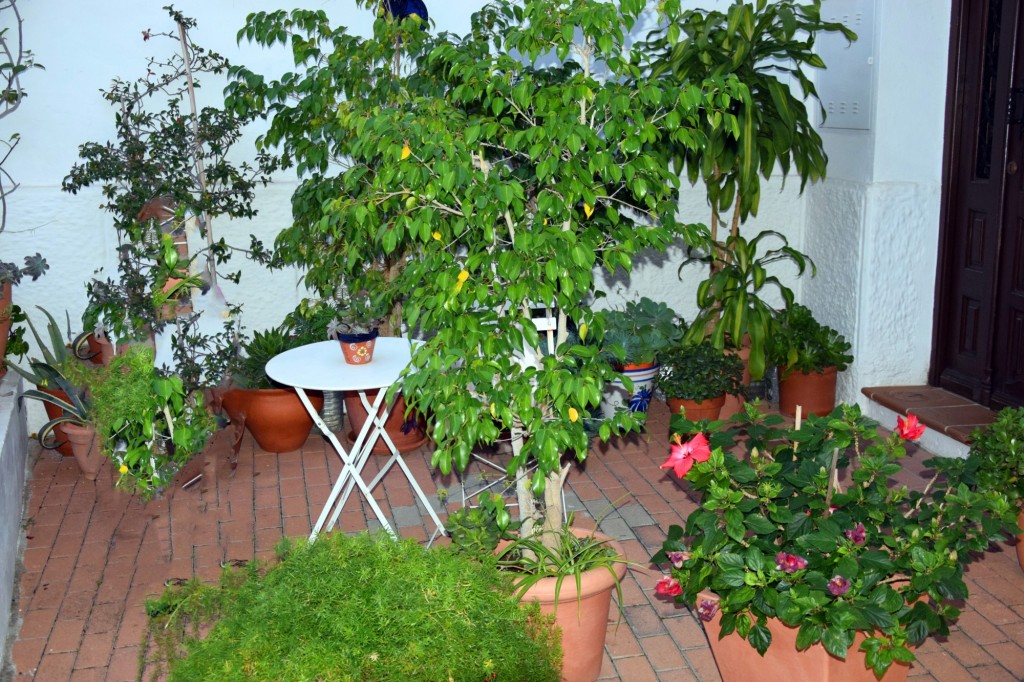 Foto de Salobreña (Granada), España