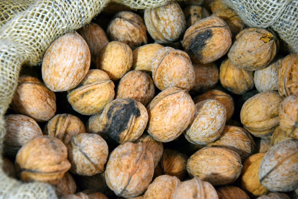 Foto de Almuñecar (Granada), España